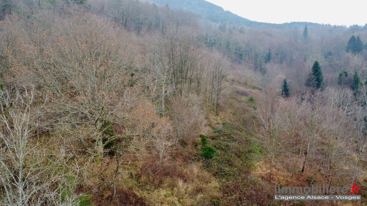 Terrain à SAINT-DIE-DES-VOSGES