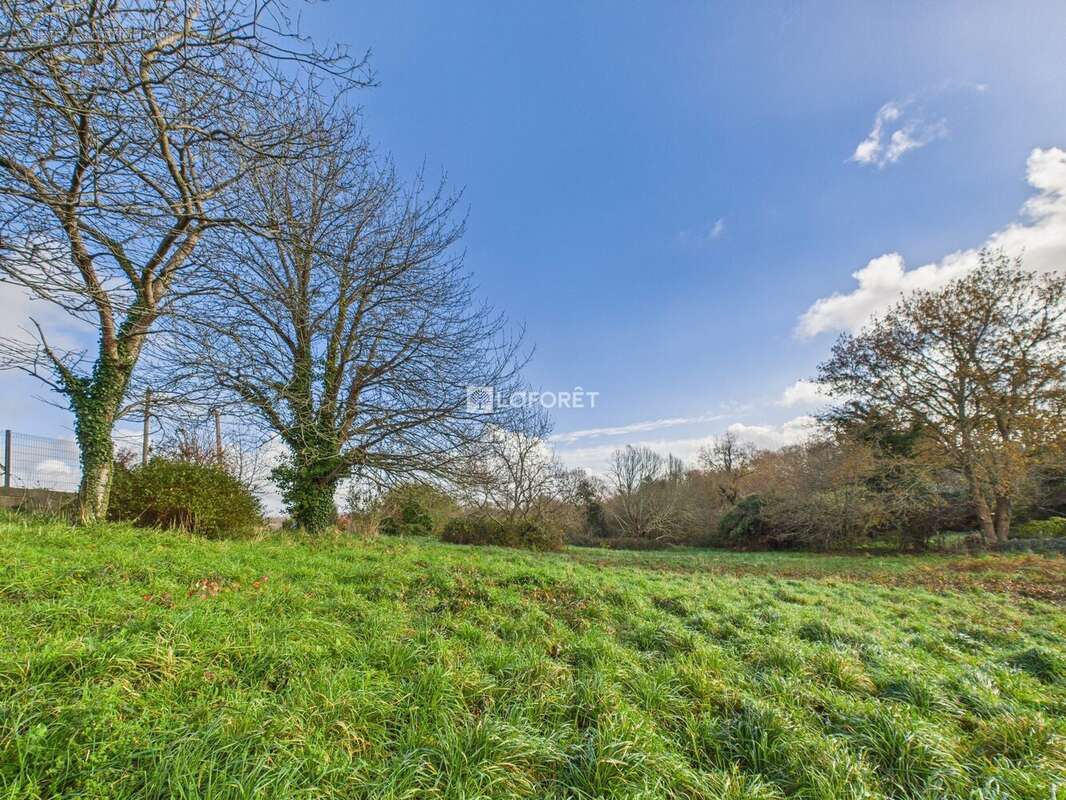 Terrain à PLEUVEN