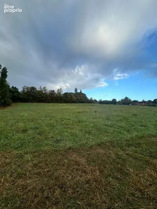 Terrain À Vendre - photo 3