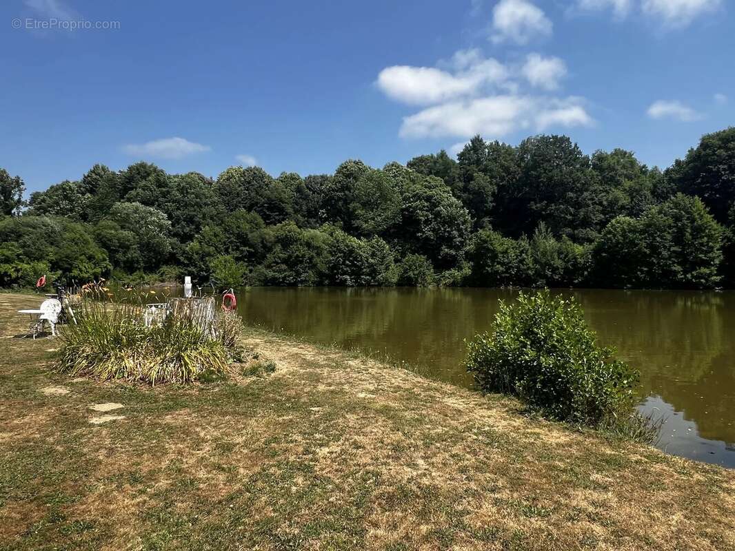 Camping avec lac de pêche dans un emplacement paisible - photo 3