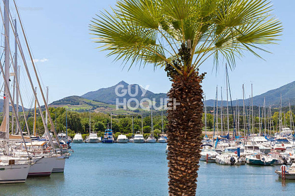 Commerce à ARGELES-SUR-MER