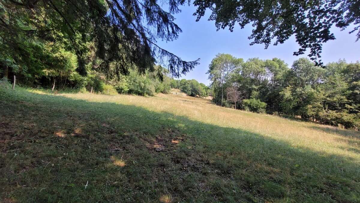 Ancienne ferme à rénover avec dépendances et terrain  - Fay sur Lignon - photo 27