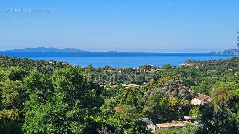 Terrain à LE LAVANDOU