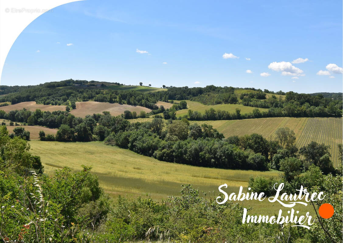 Terrain à LAUTREC