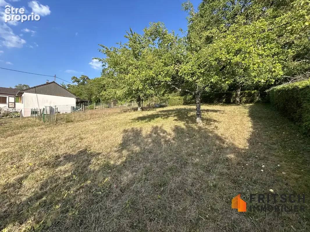 Maison 5 pièces 180 m² à vendre à Illfurth (68720) - photo 2