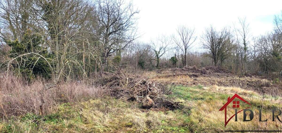 Terrain à SOIGNOLLES-EN-BRIE