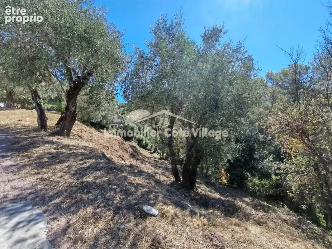Hauteurs de saint-andré-de-la-roche   2 700 m2 de terrain ar - photo 6
