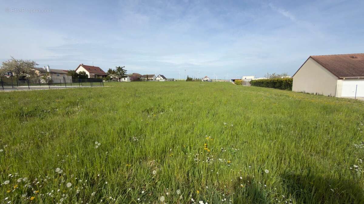 Terrain à SAINTE-MAURE