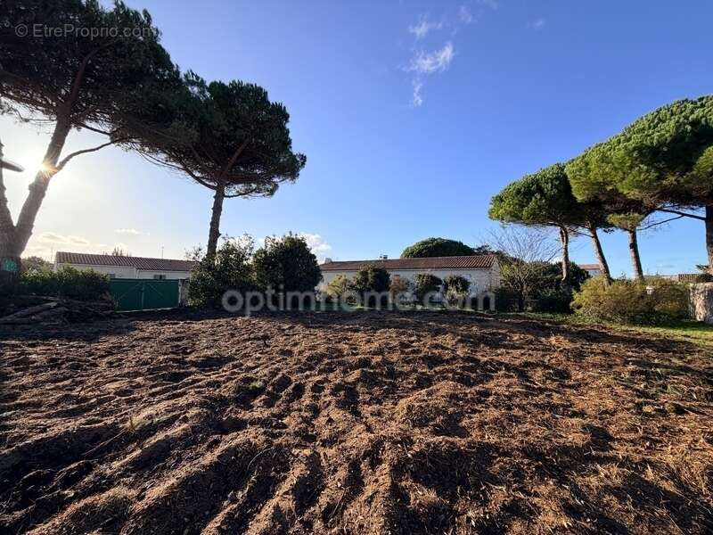 Terrain à LE BOIS-PLAGE-EN-RE
