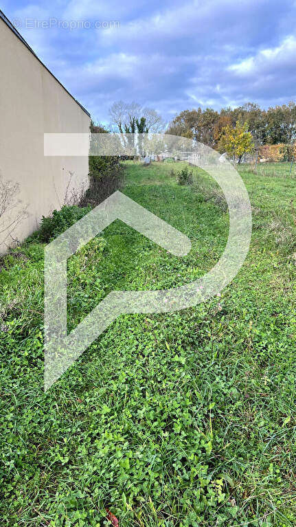 Terrain à LE BOURDET