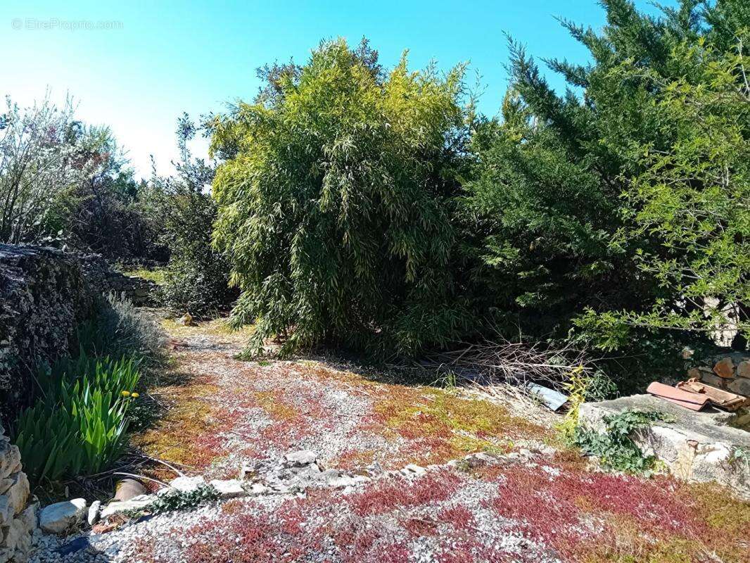 Maison  2 pièces 34 m2  jardin - photo 3