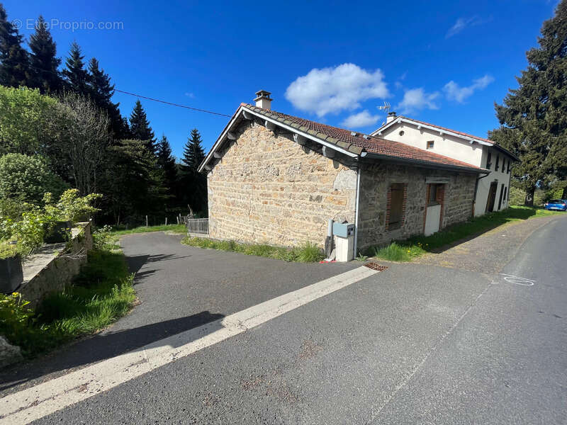  Maison de 310 m² avec gîte – 5 588 m² de terrain – Fraîcheur naturelle et revenus locatifs – Grandrif (63) - photo 3