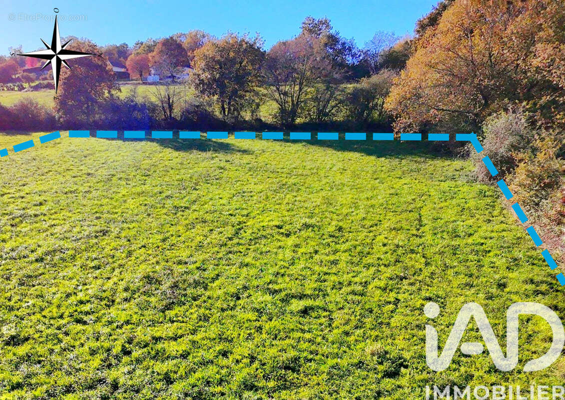 Terrain 3443 m² à Baliracq-Maumusson  - photo 3