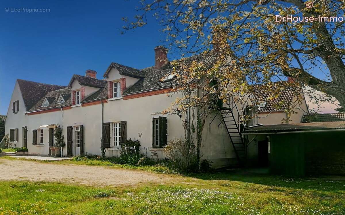 Maison 223 m² à Saint-Cyr-En-Val  - photo 11