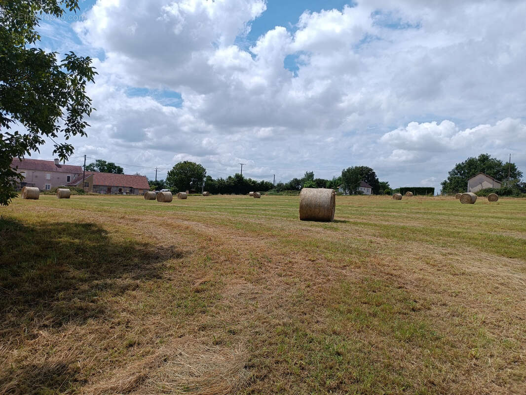 Terrain à OUROUER-LES-BOURDELINS