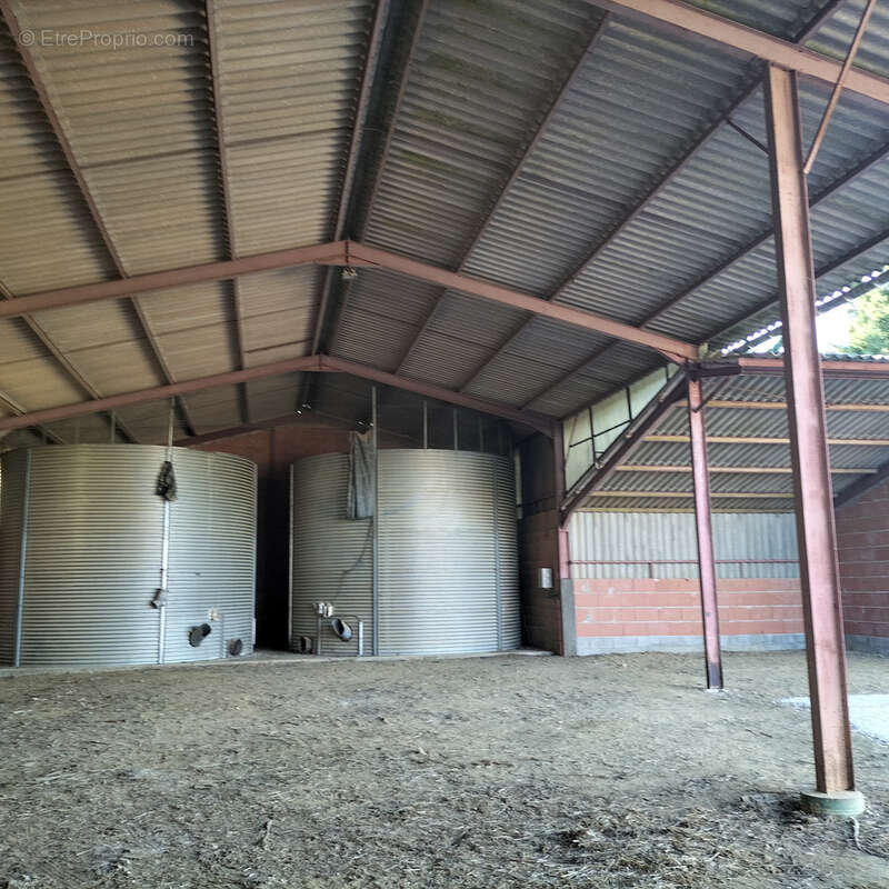 Maison et grandes bâtiments agricoles, terrain 5000m2, vue Pyrénées - photo 26