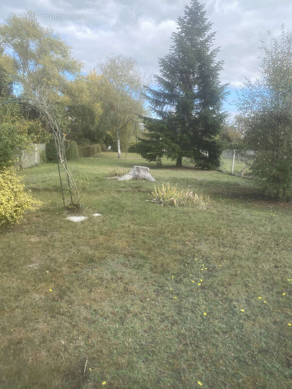 Maison à SAINT-AUBIN-LES-ELBEUF