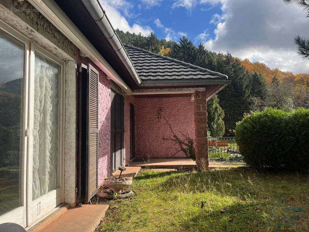 Cadre de nature ! Maison 6 pièces sur 14,70 ares - photo 5