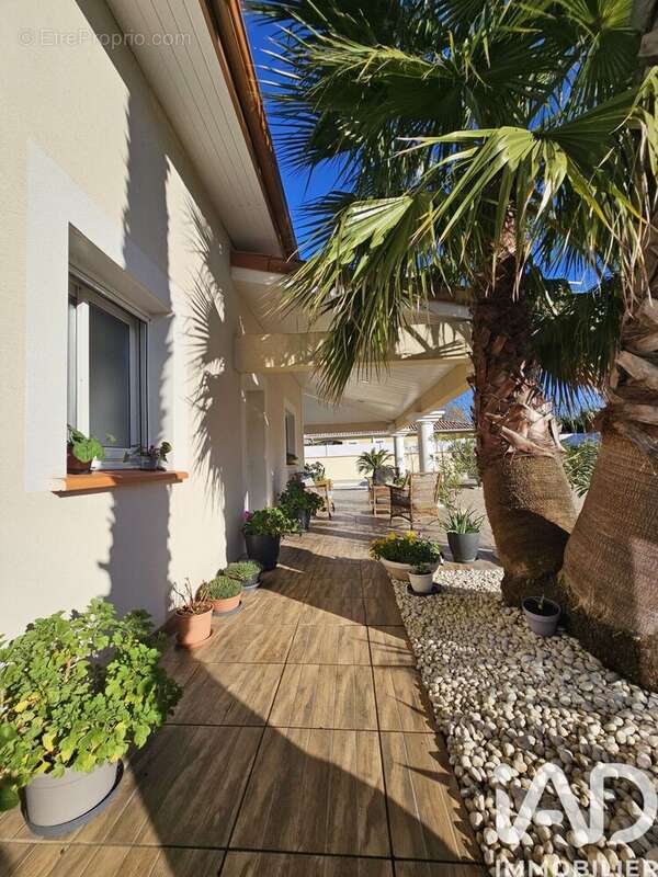 Photo 4 - Maison à CASTELSARRASIN