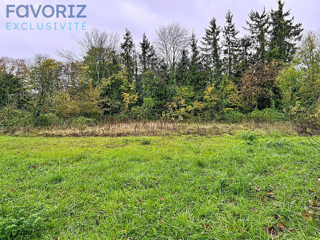Terrain à IZEURE