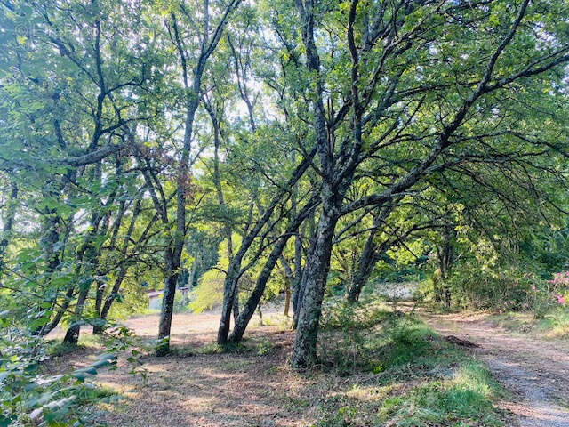 Terrain à UZES