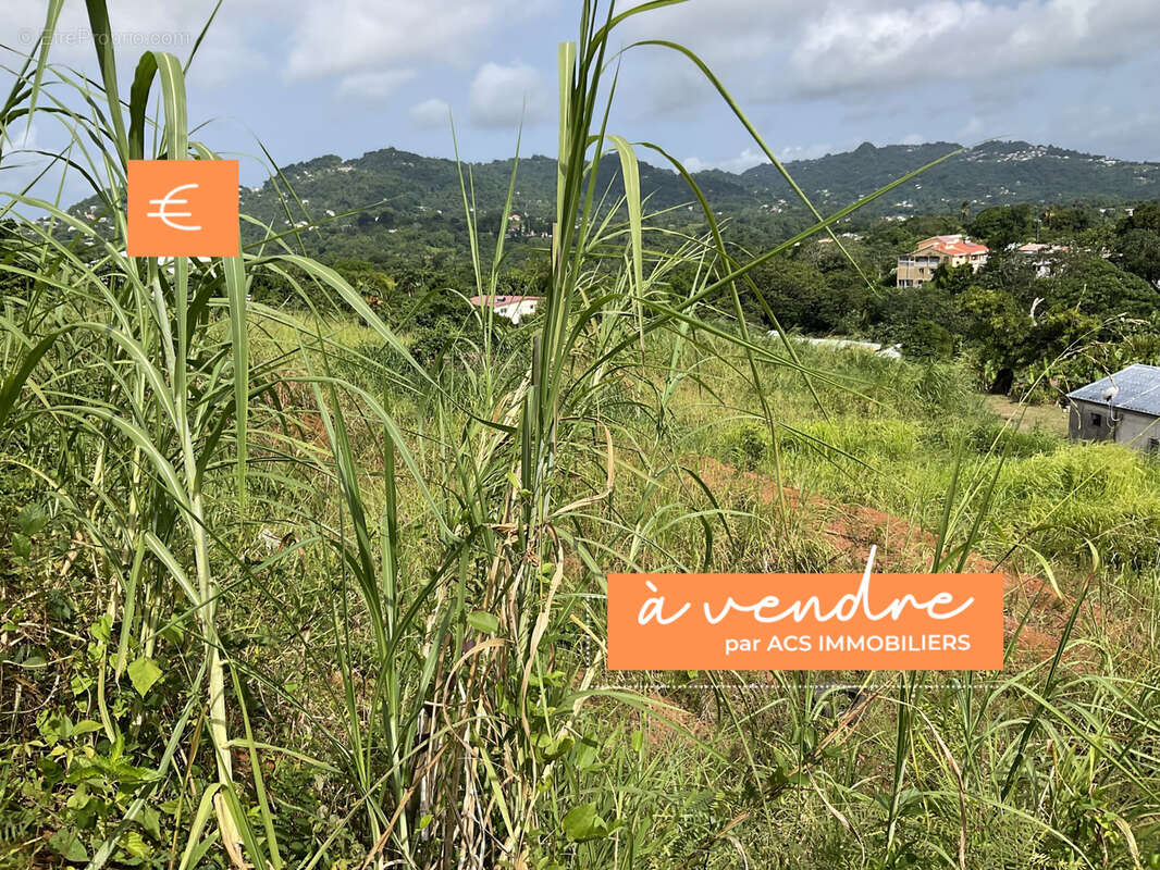 Terrain à LE ROBERT