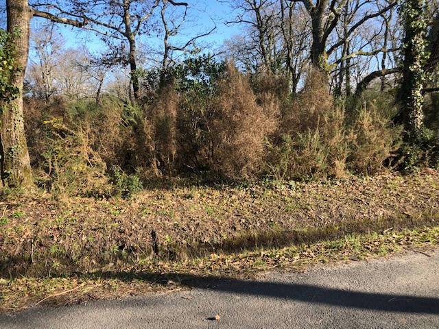 Terrain à GRAYAN-ET-L'HOPITAL