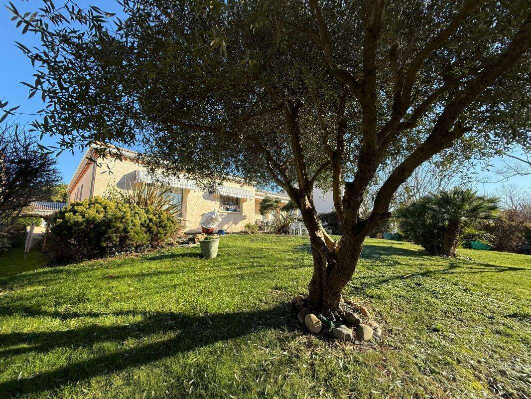 Maison à SAINT-PALAIS-SUR-MER