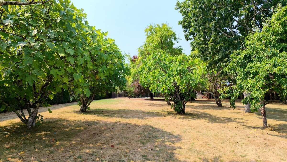  Maison à ossature bois, elle est faite pour vous !  - photo 13