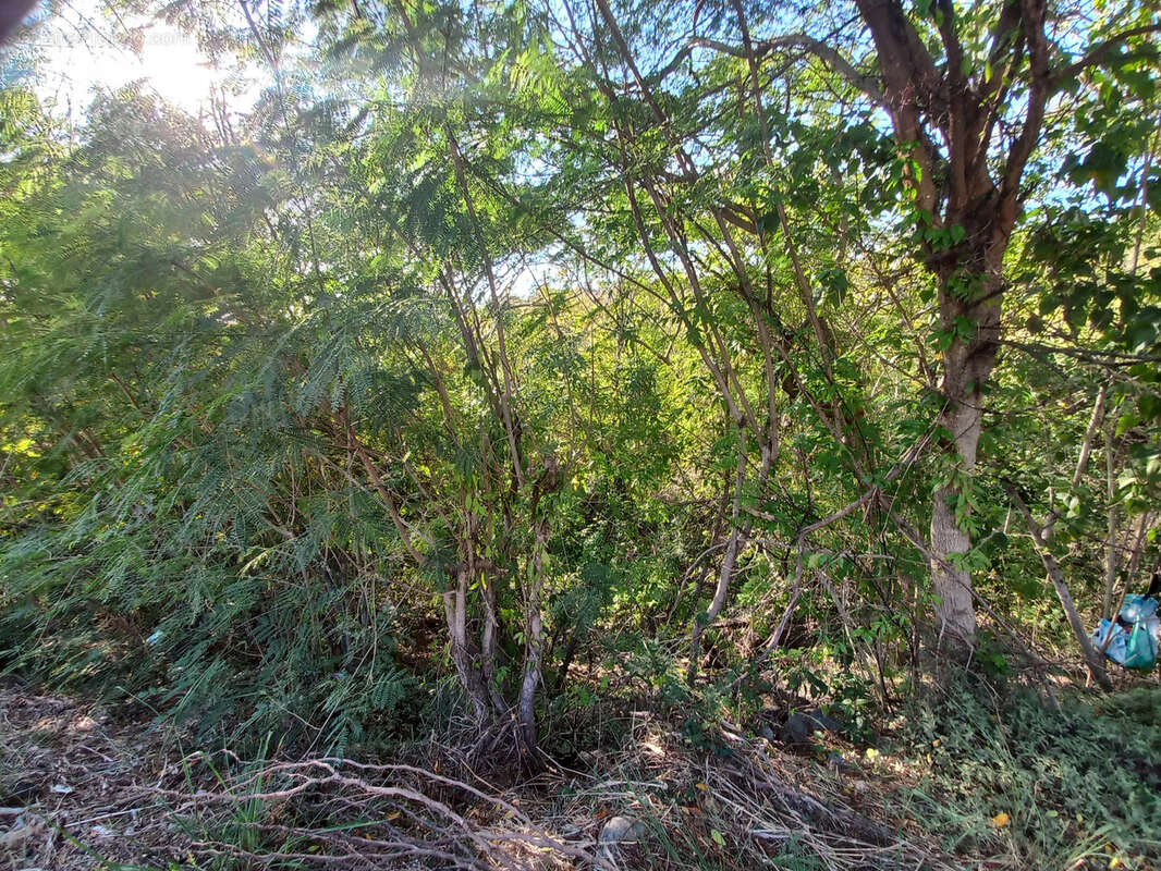 Terrain à BOUILLANTE