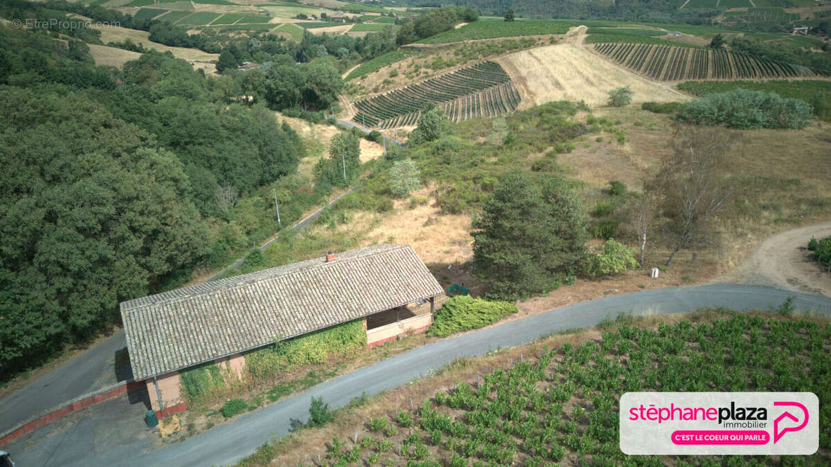 Cuvage et parcelles à Fleurie + 5 ha - photo 5