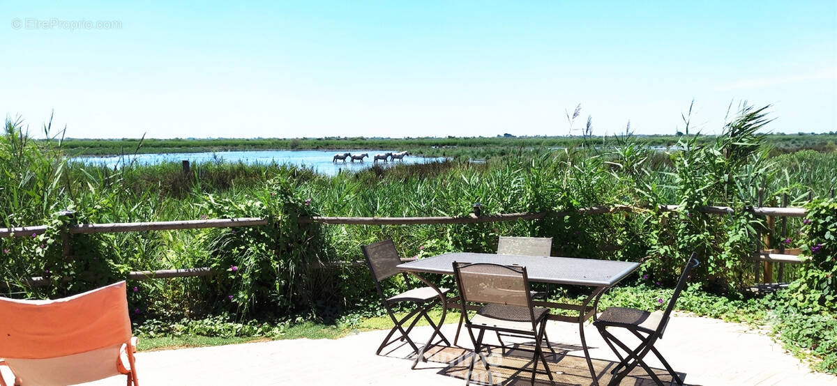 Appartement 107 m² à Saintes-Maries-De-La-Mer  - photo 1