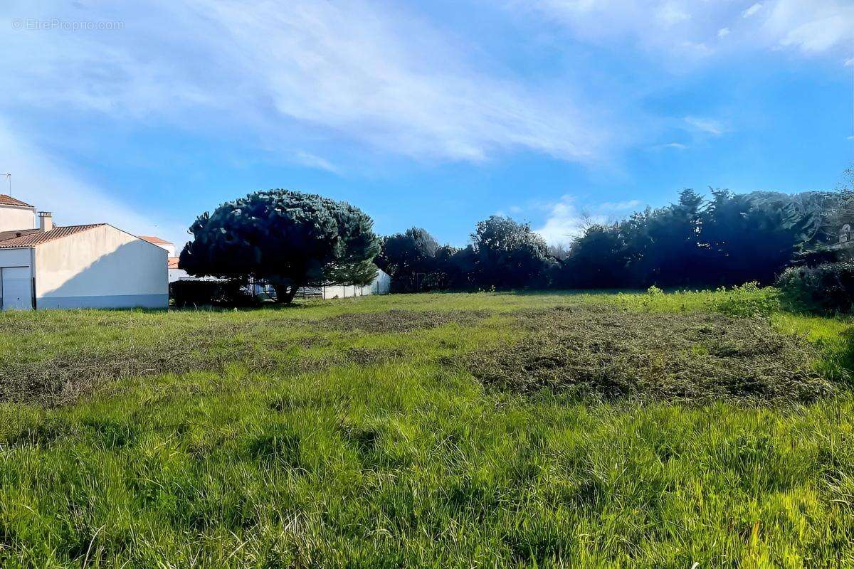 Terrain à SAINT-DENIS-D&#039;OLERON