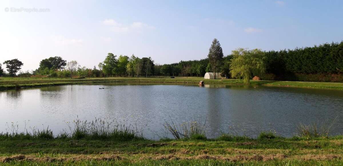 Terrain à PANNECE