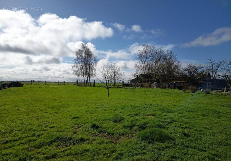 Terrain à SURTAUVILLE