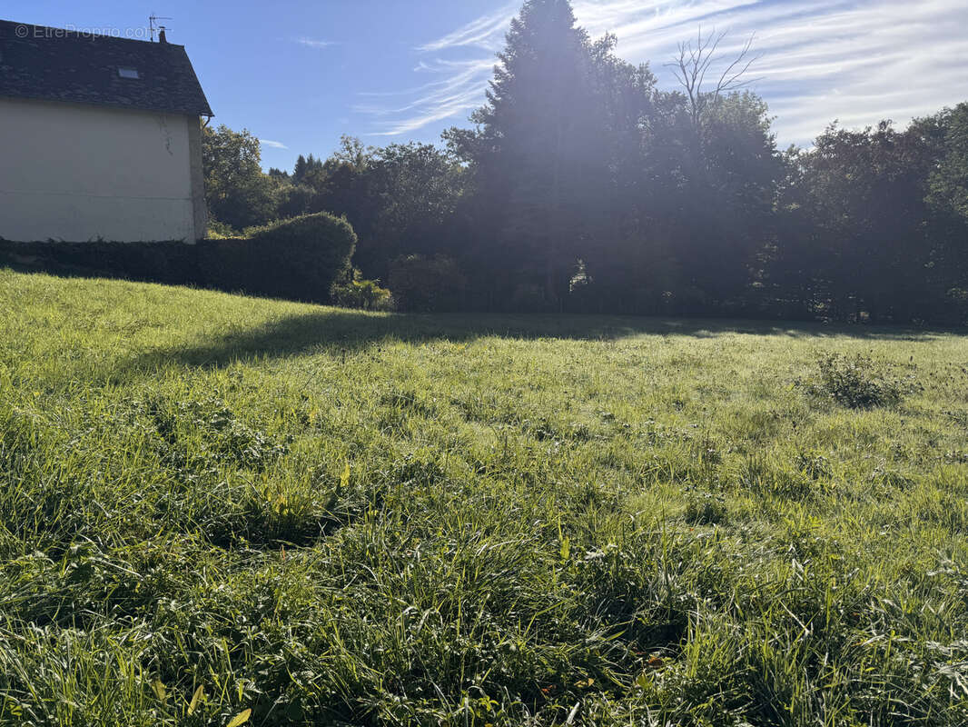 Terrain à DONZENAC