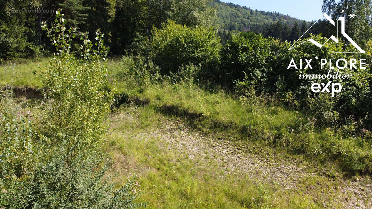 Terrain à MARCIEUX