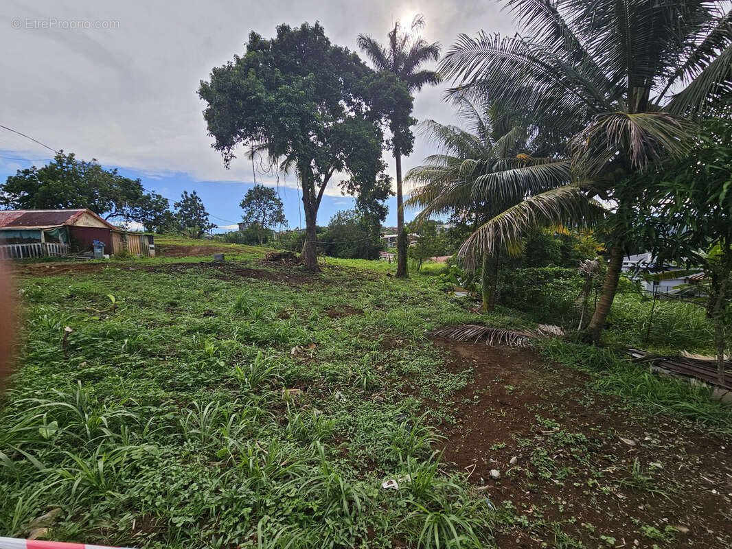 Terrain à SAINTE-MARIE