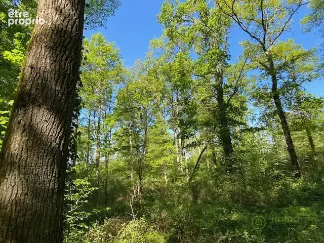 Terrain à SAINT-HILAIRE-LES-ANDRESIS