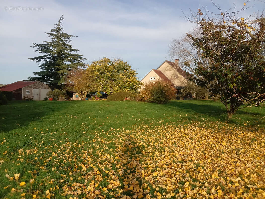 Maison à BAUGY