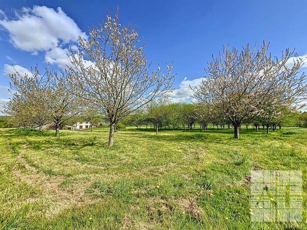 Havre de paix à Ernée – ferme fruitière naturelle et chambres d’hôtes - photo 16