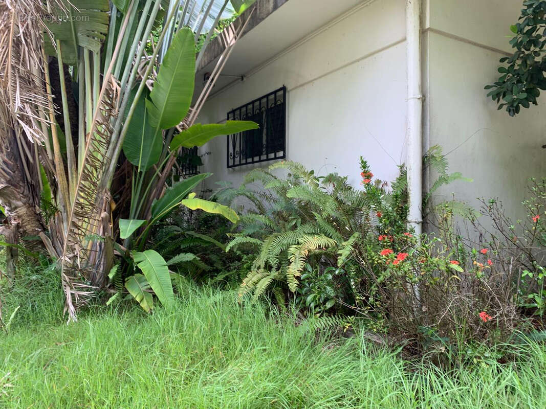 Villa de Charme Dider Fort de France - photo 16
