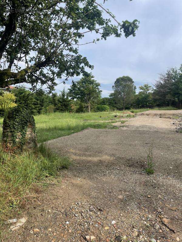 Terrain à FRANCHEVILLE