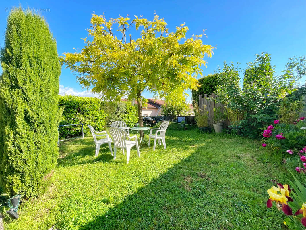 Maison à TREVES