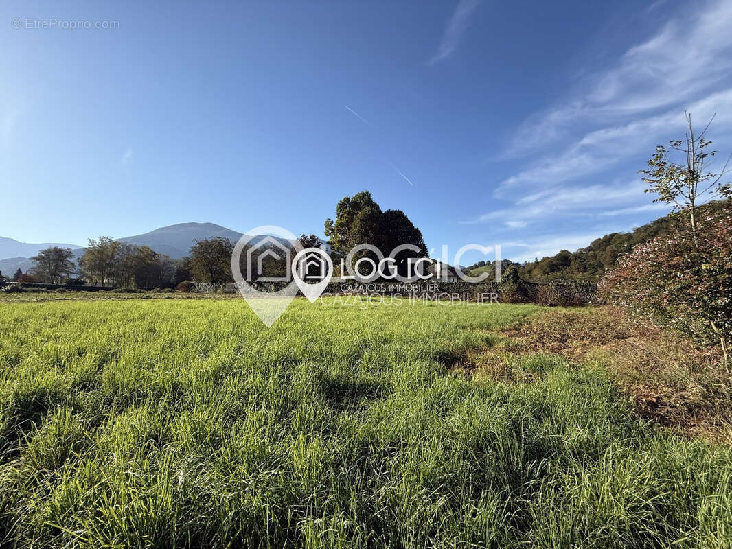 Terrain à MONTAUT