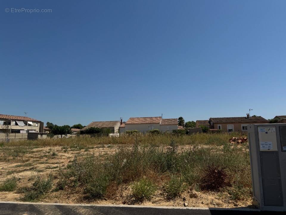 Terrain à LE CAILAR
