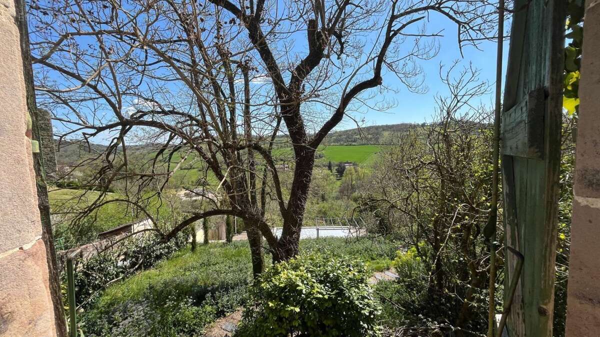 Maison à CORDES-SUR-CIEL