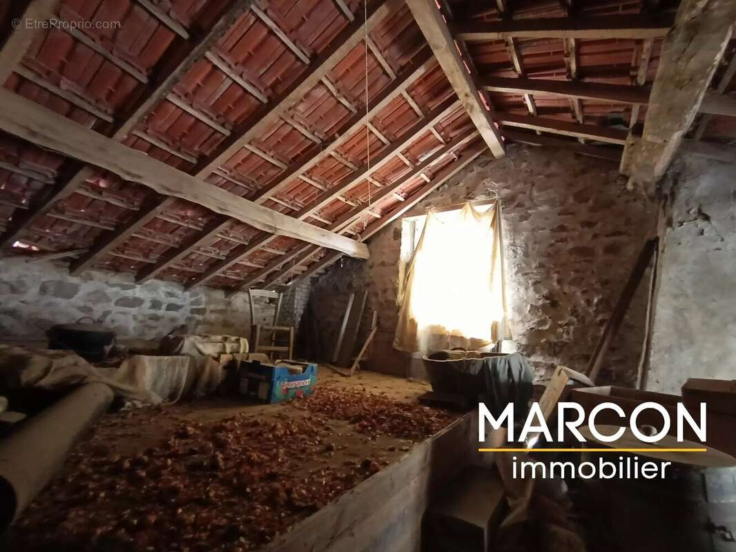 Vente maison secteur saint georges la pouge - photo 18
