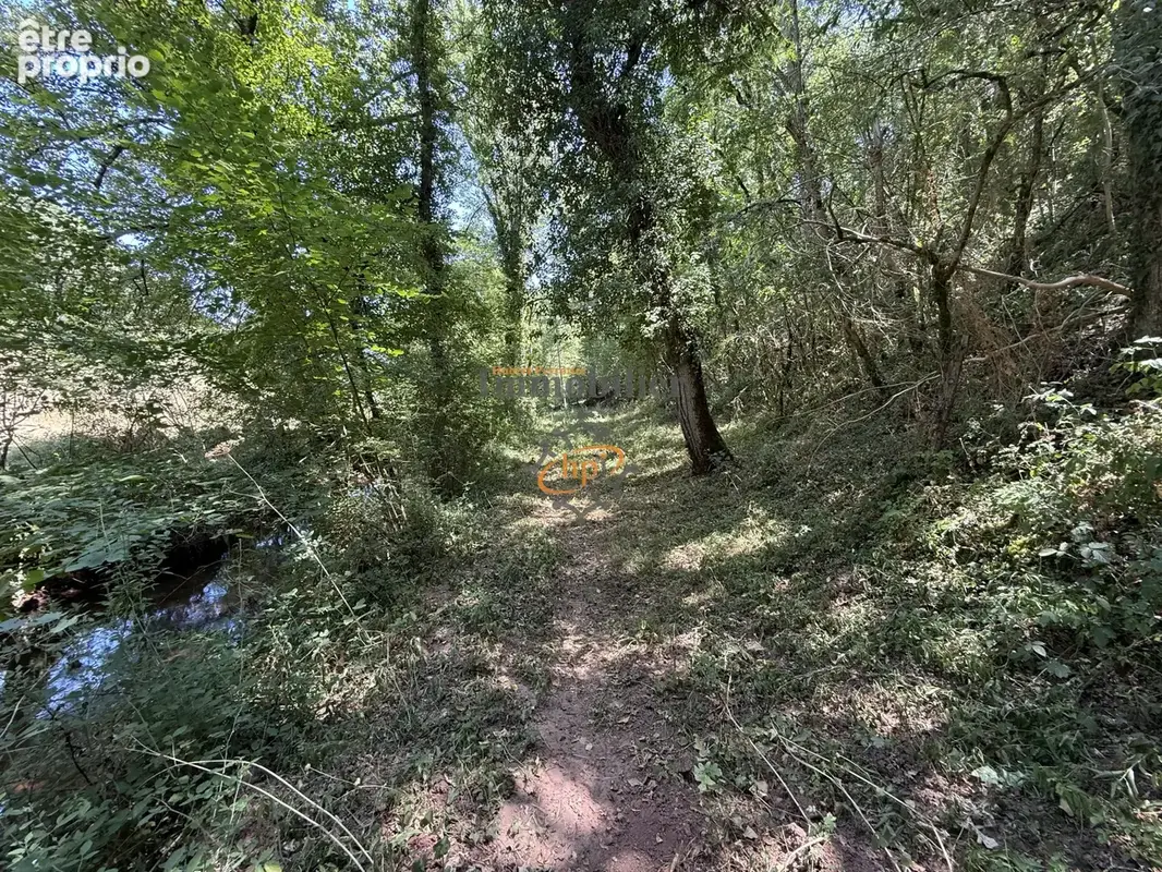 Vente Mazet sur 1,29 hectares de terrains bordé par ruisseau Saint Affrique, - photo 11