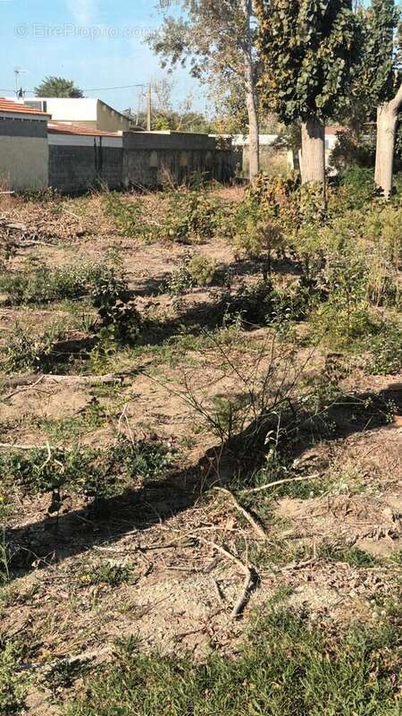 Photo 3 - Terrain à AGDE